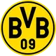 THE•BORUSSIA•DORTMUND logo