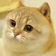 CATS•DAO•MEMECOIN logo