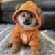 DOGES•GO•TO•THE•MOON logo