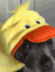 DOG•FOR•PRESIDENT logo