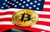 BITCOIN•MADE•IN•AMERICA logo