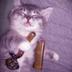 SLEEPY•STONED•CAT logo