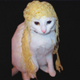 PASTA•COPY•CAT logo