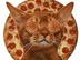 PIZZA•CAT•PUMP•ONLY logo