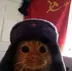 COMMUNIST•KITTY logo