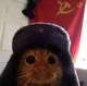 COMMUNIST•KITTY logo