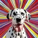 CLUE•THE•DALMATIAN logo
