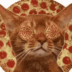 SMART•PIZZA•CAT logo