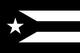 VIVA•PUERTORICO•LIBRE logo