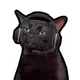 THE•CAT•WIF•JOBS logo