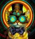 VOLTA•MOON•CAT logo