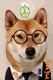 MRDOG•CEO•OF•BITCOIN•MEME logo