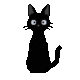 BLACK•CAT•RUNES logo