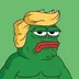 DONALD•TRUMP•PEPE logo