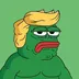 THE•PEPE•TRUMP logo