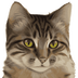 GINNAN•GINNAN logo