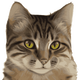 GINNAN•GINNAN logo