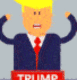 GO•TRUMPY•TO•PRESIDENT logo