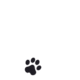 CATIZEN•TOKEN•RUNES logo