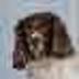 CUTE•PIXEL•DOG logo