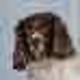 CUTE•PIXEL•DOG logo