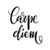 CARPE•DIEM•UNO logo