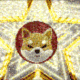 SHIBA•ON•OPNET logo