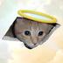 THE•CEILING•CAT logo