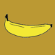 BANANACAT•ON•OPNET logo
