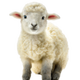 BRETTTTTTTTEEEEE logo