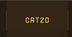 CAT•TWENTY•PROTOCOL logo