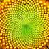 FRACTAL•ECOSYSTEM•SATS logo
