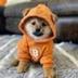 DOG•GO•TO•THE•MQON logo
