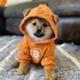 DOG•GO•TO•THE•MQON logo