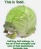 PETER•TODD•FROG logo