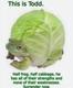 PETER•TODD•FROG logo
