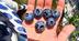 BIG•BLUEBERRY logo