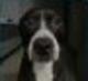 HIS•NAME•IS•ARLO logo