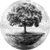 ZENHODL•FOUNDATION logo