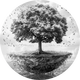 ZENHODL•FOUNDATION logo