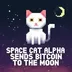SPACE•CAT•ALPHA logo