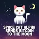 SPACE•CAT•ALPHA logo