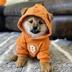 DOG•GO•TO•TNE•MOON logo