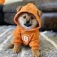DOG•GO•TO•TNE•MOON logo
