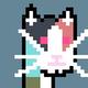 COLORFUL•CRYPTOPUNK•KITTEN logo