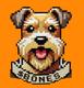KING•OF•BONES logo