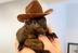 PEANUT•THE•SQUIRREL logo
