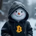 SATOSHI•SNOWMAN logo