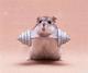 HAMSTER•ON•STEROIDS logo