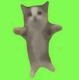THE•HAPPY•CAT logo
